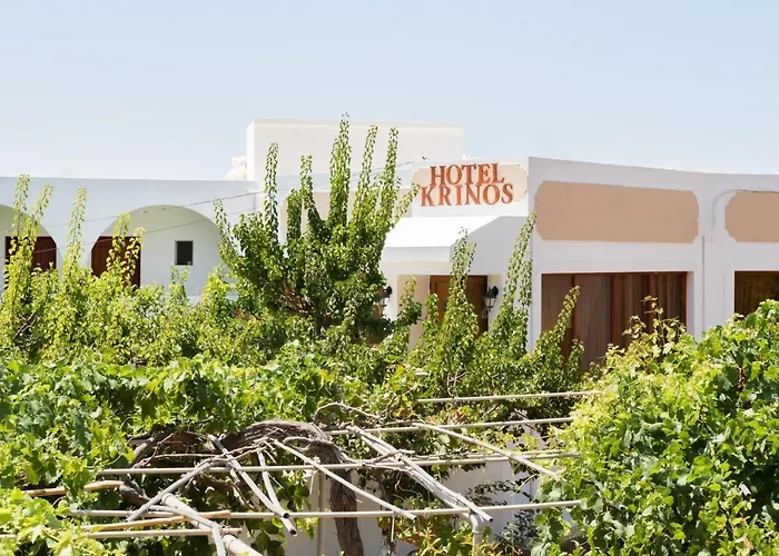 酒店 Krinos 3*